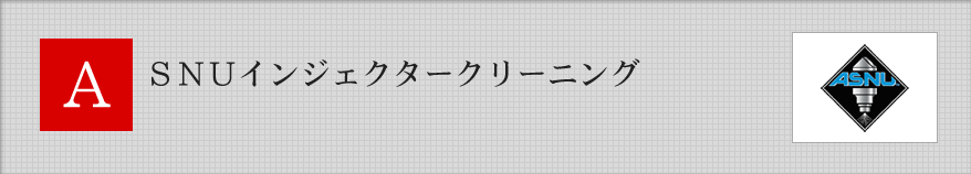 ASNU（アズニュー）インジェクタークリーニング