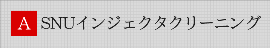 ASNU（アズニュー）インジェクタークリーニング