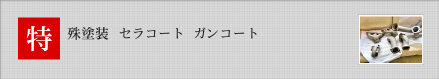 特殊塗装　セラコート・ガンコート